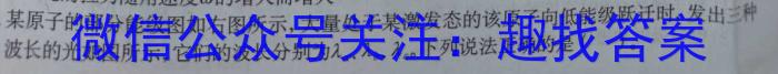 百师联盟2023届高三二轮复习联考(一)新高考卷物理试卷答案