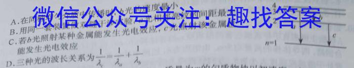 湖南省长沙市一中2024届高考适应性演练(二)2物理试题答案