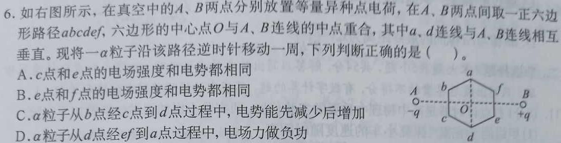 2024年河南省普通高中毕业班高考适应性练习物理试题.