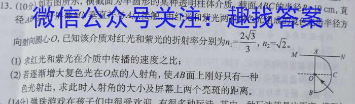 江西省宜春市2024年高三适应性考试(4月)物理试卷答案