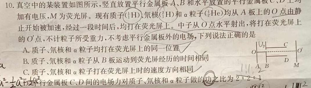 山西省2024届九年级期末综合评估（4LR）物理试题.