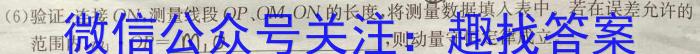 ［深圳一调］2024年深圳市高三年级第一次调研考试物理