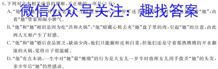2023-2024学年度第一学期芜湖市中学教学质量监控（九年级）/语文