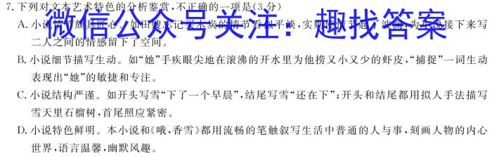 阜阳市2023-2024高三教学质量统测试卷(24-360C)语文