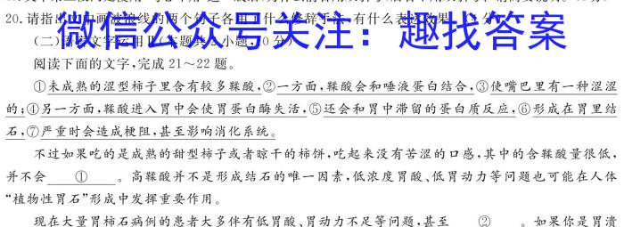 江西省青山湖区2023-2024学年度下学期九年级学业质量检测卷语文