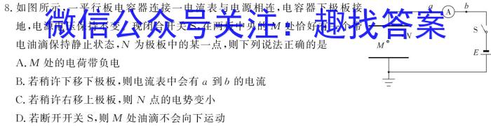 2024届衡水金卷高三4月大联考(LL)物理`