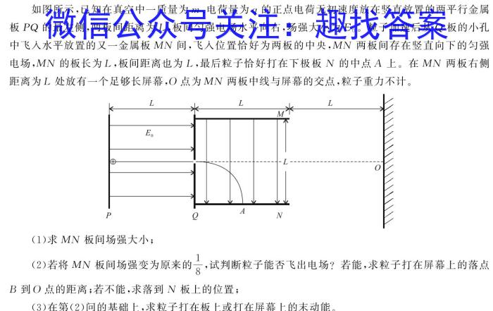 湖南天壹名校联盟·2024年上学期高二期末考试物理试题答案