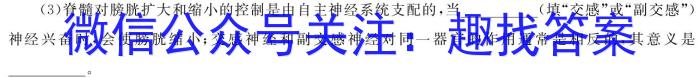 2024年普通高等学校全国统一模拟招生考试金科·新未来12月联考生物学试题答案