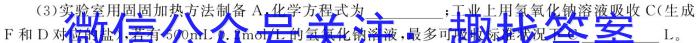 q安徽省2023-2024学年九年级第一学期阶段练习四化学