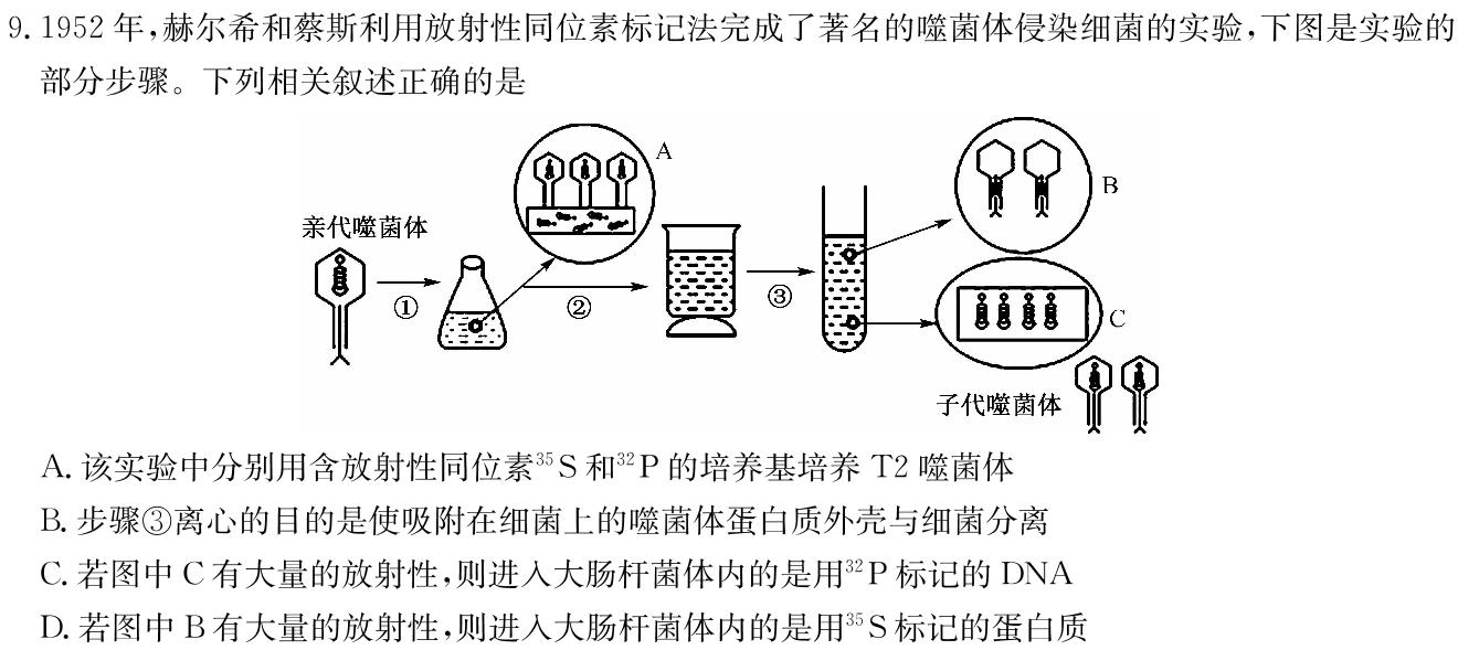 安徽省合肥市普通高中六校联盟2023-2024学年第二学期期末考试（高一）生物