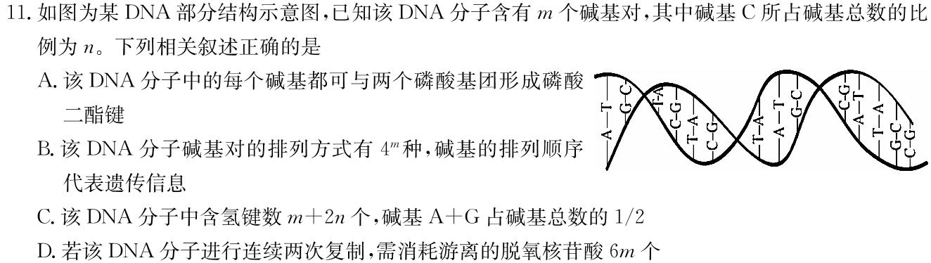 2023-2024学年度上学期高三年级自我提升四(HZ)生物学部分