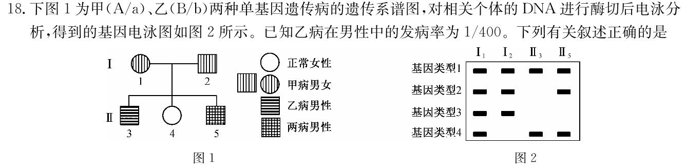 2024届厦门市高三毕业班第四次质量检测生物