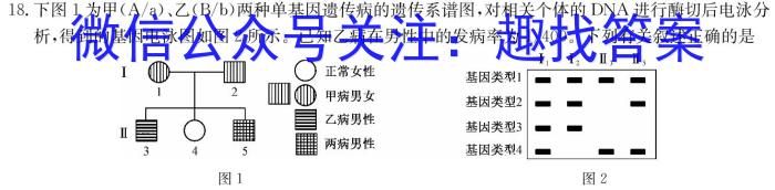 决胜新高考—2024届高三年级大联考（12月）生物学试题答案