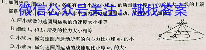 琢名小渔 ·河北省2025届高三年级开学检测物理试题答案