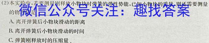 安徽省合肥市2024年第二学期九年级3月中考模拟物理`