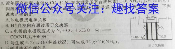 3贵港市2024届普通高中毕业班12月模拟考试化学试题