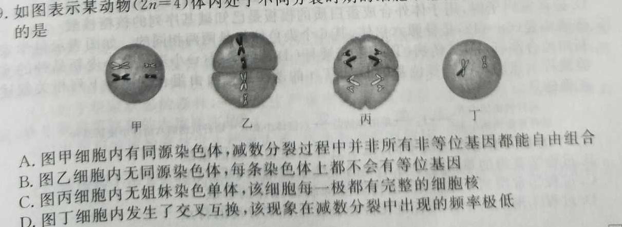 2023-2024学年湖南省高一年级期末考试(正方形包菱形)生物学部分