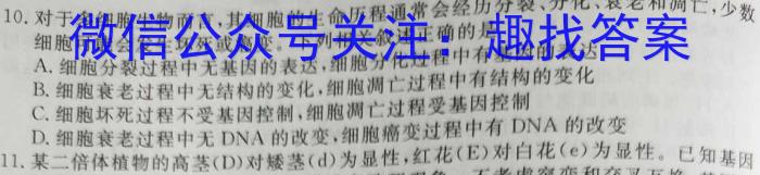 顺德区高中第四联盟2024-2025学年第一学期高三联考（10月）生物学试题答案