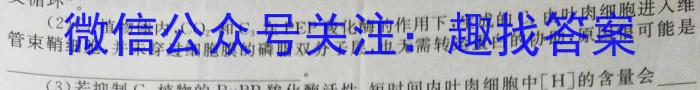 2024年湖北省初中学业水平考试信息卷(冲刺卷系列)生物学试题答案