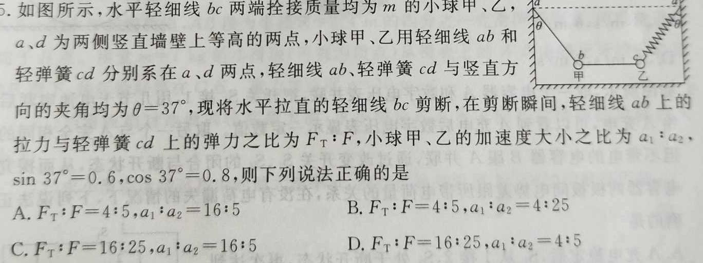 沧州市2023-2024学年第二学期期末教学质量监测（高一年级）(物理)试卷答案