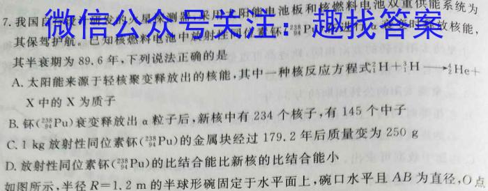 洛阳市2023-2024学年高二第一学期期末考试物理试题答案