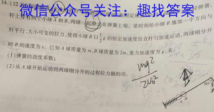 2024年普通高等学校招生全国统一考试·仿真模拟卷(五)5物理试卷答案