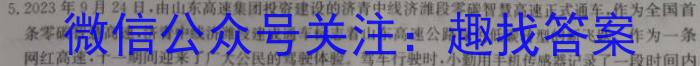 2024届河南省九年级第七届名校联盟考(CZ114c)物理试卷答案