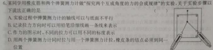 [今日更新]河南省2024届高三3月联考（算盘）.物理试卷答案