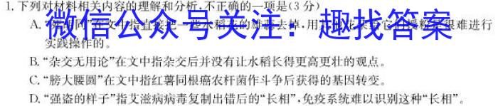 安徽省2024年九年级质量调研检测(三)语文