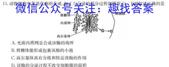 湖北省2023年宜荆荆随恩高二12月联考生物学试题答案