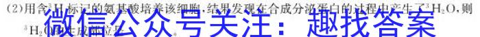 山东名校考试联盟2023年12月高三年级阶段性检测生物学试题答案