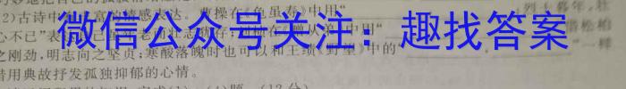 安徽省2024年天长市实验中学教育集团中考第三次模拟测试语文