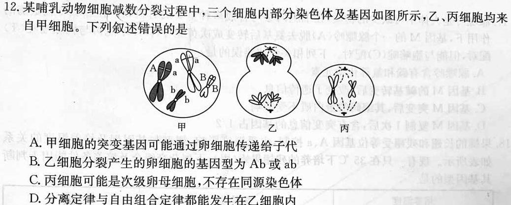 安徽省2024-2025学年合肥48中招生入学考试（三）七年级生物学部分