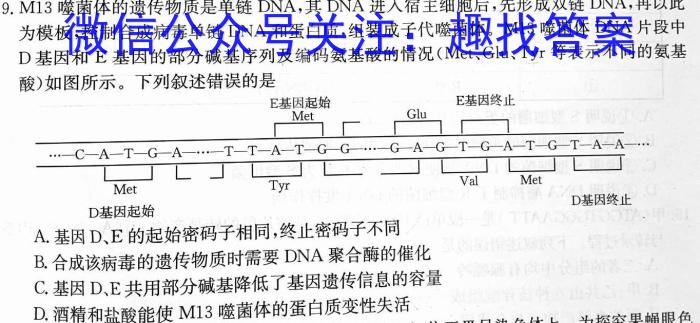 江西省2023-2024学年度八年级阶段性练习（五）生物学试题答案