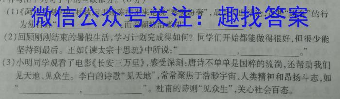 学科网2024届高三1月大联考考后强化卷(新高考卷)语文