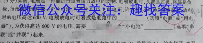 炎德英才大联考 长沙市一中2024届模拟试卷(二)2物理`