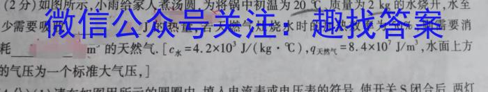 2023年潍坊市普通高中学科素养能力测评（12月）物理`