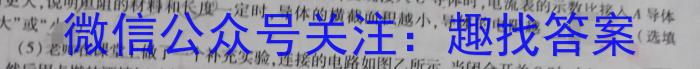 2024年河北省初中毕业生升学文化课考试（四）物理试卷答案