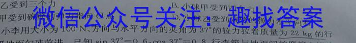 衡水金卷·2024届高三年级2月份大联考（LL）物理`