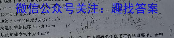 2024考前信息卷·第六辑 重点中学、教育强区 考向预测信息卷(二)2h物理