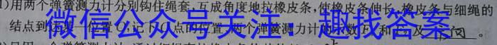 天一大联考 2023-2024学年度高三年级第一次模拟考试(3月)物理试题答案