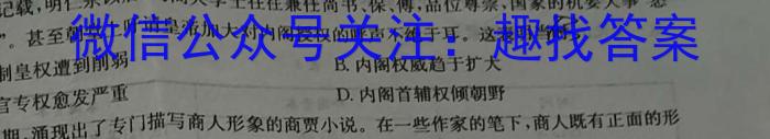 安徽省2024年第二学期九年级4月考试历史试卷答案