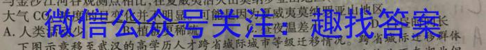 [济宁三模]2024年济宁市高考模拟考试(2024.5.21)地理试卷答案