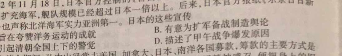 安徽省2024届九年级下学期第五阶段评估历史