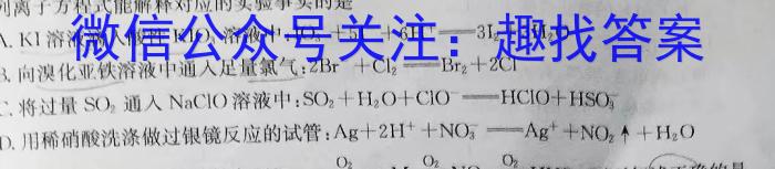 q金考卷·百校联盟(新高考卷)2024年普通高等学校招生全国统一考试 预测卷(一)1化学