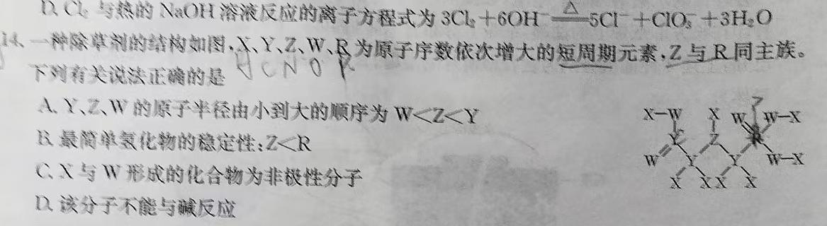 1贵州省2023-2024学年度高一年级上学期12月联考化学试卷答案