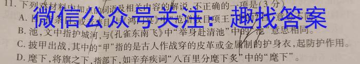 ʡ2024꼶ĩԣĴ¿xԾ