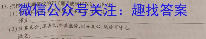 甘肃省白银市靖远县2025届高三联考一模语文