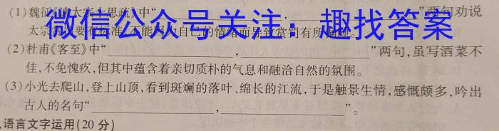 湖南省娄底市2023年下学期高三质量检测/语文