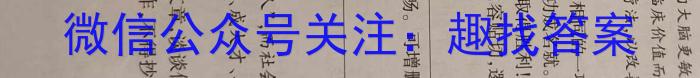 天一大联考 2023-2024学年高中毕业班阶段性测试(九)9语文